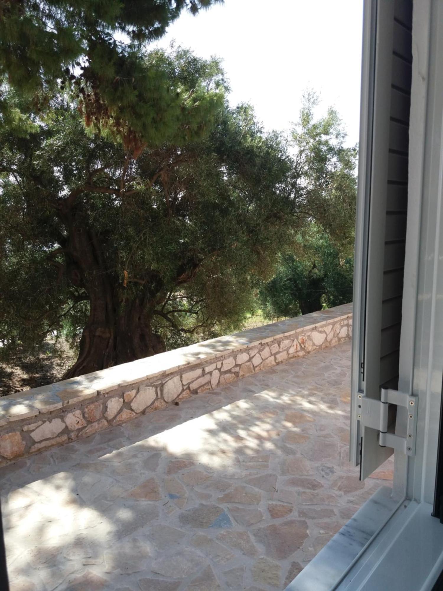 Belvedere Zakynthos Studios Vasilikós Quarto foto
